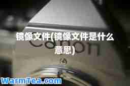镜像文件(镜像文件是什么意思)