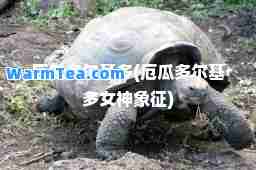 厄瓜多尔基多(厄瓜多尔基多女象征)