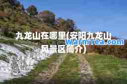 九龙山在哪里(安阳九龙山风景区简介)