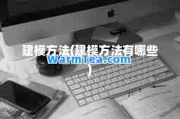 建模方法(建模方法有哪些)