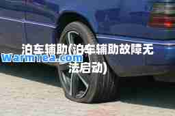 泊车辅助(泊车辅助故障无法启动)