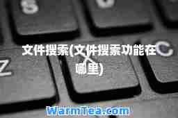文件搜索(文件搜索功能在哪里)