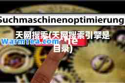 天网搜索(天网搜索引擎是目录)