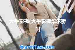 大牛影裤(大牛影裤华尔街1)