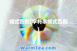 模式匹配(字符串模式匹配) 模式匹配(字符串模式匹配)