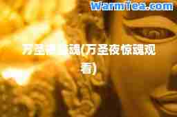 万圣夜惊魂(万圣夜惊魂观看)