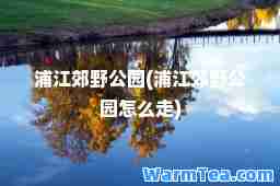 浦江郊野公园(浦江郊野公园怎么走)