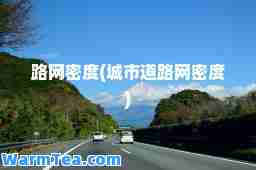 路网密度(城市道路网密度)
