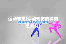 运动知觉(运动知觉的种类主要有)