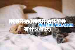 刚刚开始(刚刚开始会有什么症状)