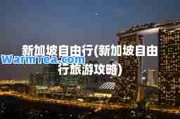 新加坡自由行(新加坡自由行旅游攻略)