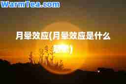 月晕效应(月晕效应是什么意思)