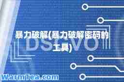 暴力破解(暴力破码的工具)