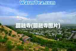 圆融寺(圆融寺图片)