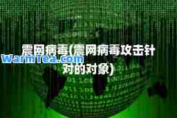 震网病毒(震网病毒攻击针对的对象)