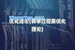 优化理论(教学过程化理论)
