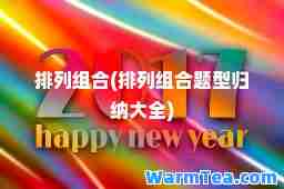 排列组(排列组题型归纳大全)