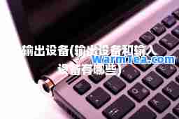 输出设备(输出设备和输入设备有哪些)