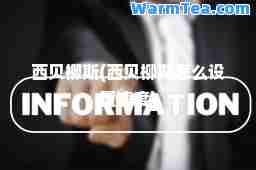 西贝柳斯(西贝柳斯怎么设置速度)