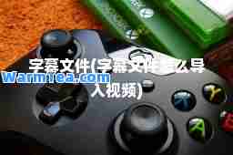 字幕文件(字幕文件怎么导入视频)