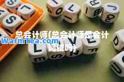 总会计师(总会计师是会计岗位吗)