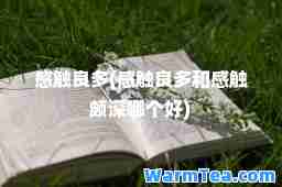 感触良多(感触良多和感触颇深哪个好)