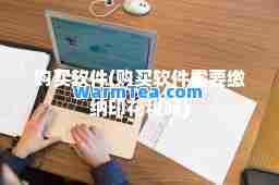 购买软件(购买软件需要缴纳印花税吗)
