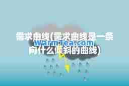 需求曲线(需求曲线是一条向什么倾斜的曲线)