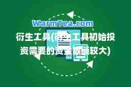 衍生工具(衍生工具初始投资需要的资金数额较大)