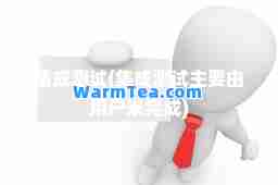 集成测试(集成测试主要由用户来完成)