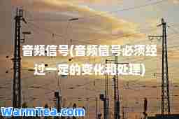 音频信号(音频信号必须经过一定的变化和处理)