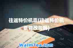 往返特价机票(往返特价机票能改签吗)