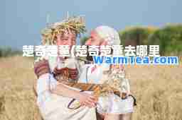 楚奇楚童(楚奇楚童去哪里了)