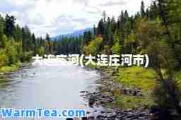 大连庄河(大连庄河市)