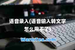 语音录入(语音输入转文字怎么用不了)
