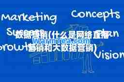 数据营销(什么是网络直播营销和大数据营销)