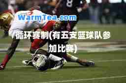循环赛制(有五支篮球队参加比赛)