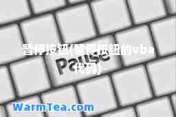暂停按钮(暂停按钮的vba代码)