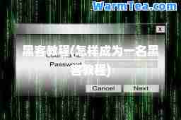 黑客教程(怎样成为一名黑客教程)