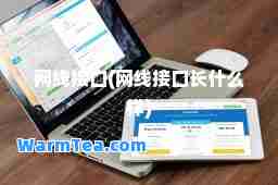 网线接口(网线接口长什么样)