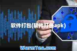 软件打包(软件打包apk)