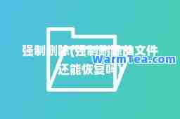 强制删除(强制删除的文件还能恢复吗)