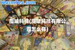 魔珐科技(魔珐科技有限公司怎么样)