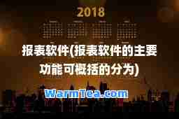 报表软件(报表软件的主要功能可概括的分为)