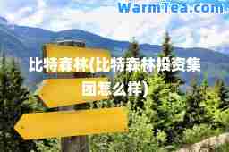 比特森林(比特森林投资集团怎么样)