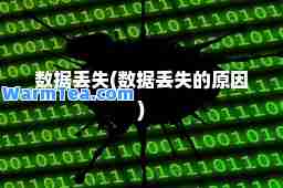 数据丢失(数据丢失的原因)