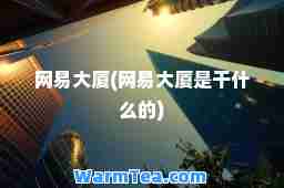 网易大厦(网易大厦是干什么的)