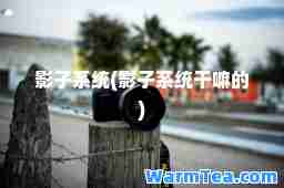 影子系统(影子系统干嘛的)