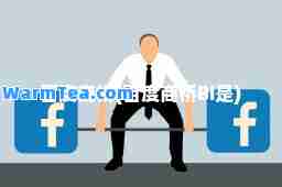百度商桥(百度商桥BI是)