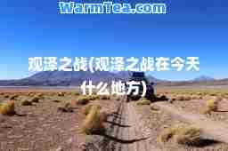 观泽之战(观泽之战在今天什么地方)